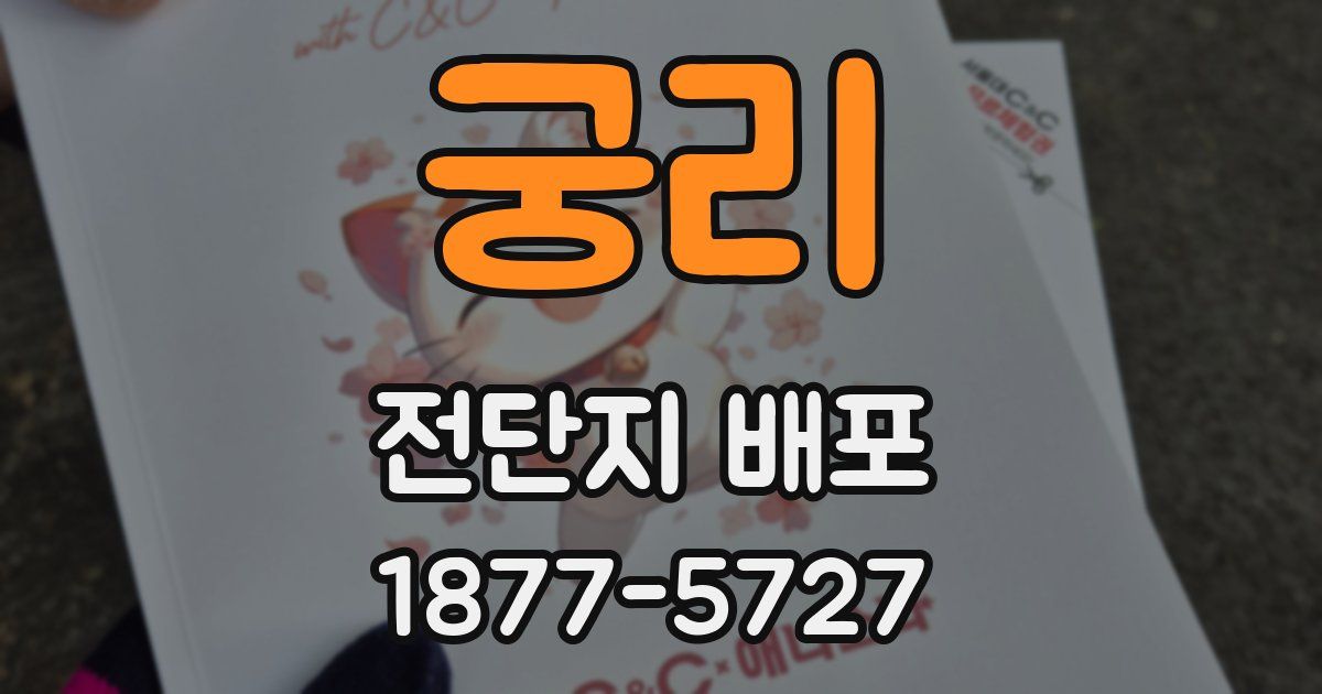 궁리 전단지 배포
