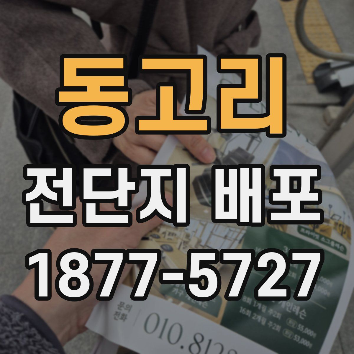 동고리 전단지 배포