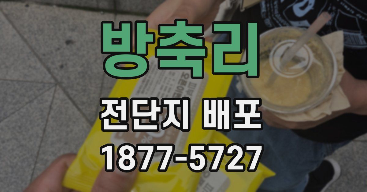 방축리 전단지 배포