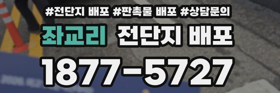 좌교리 전단지 배포