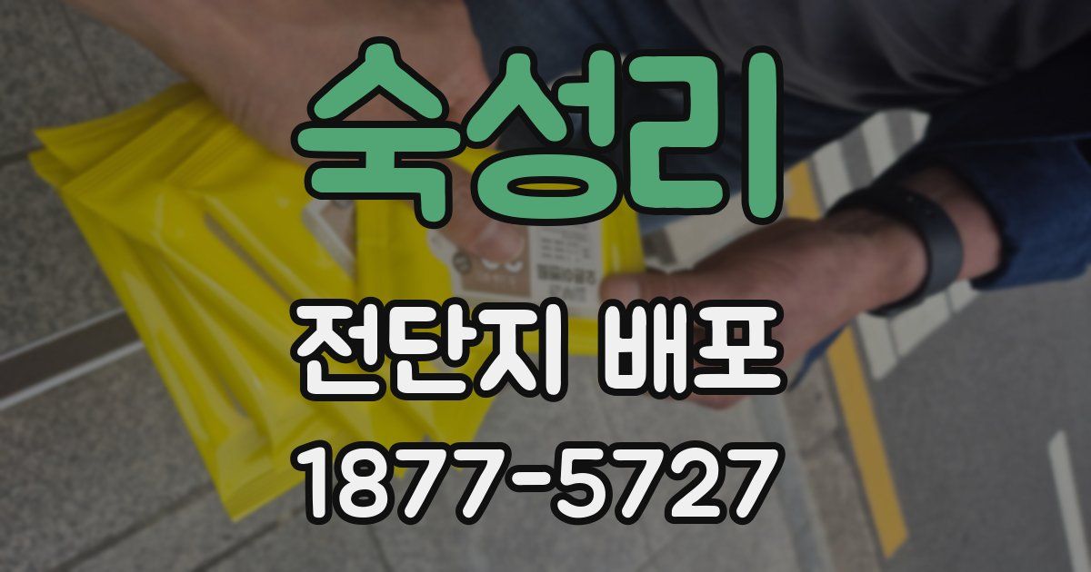 숙성리 전단지 배포