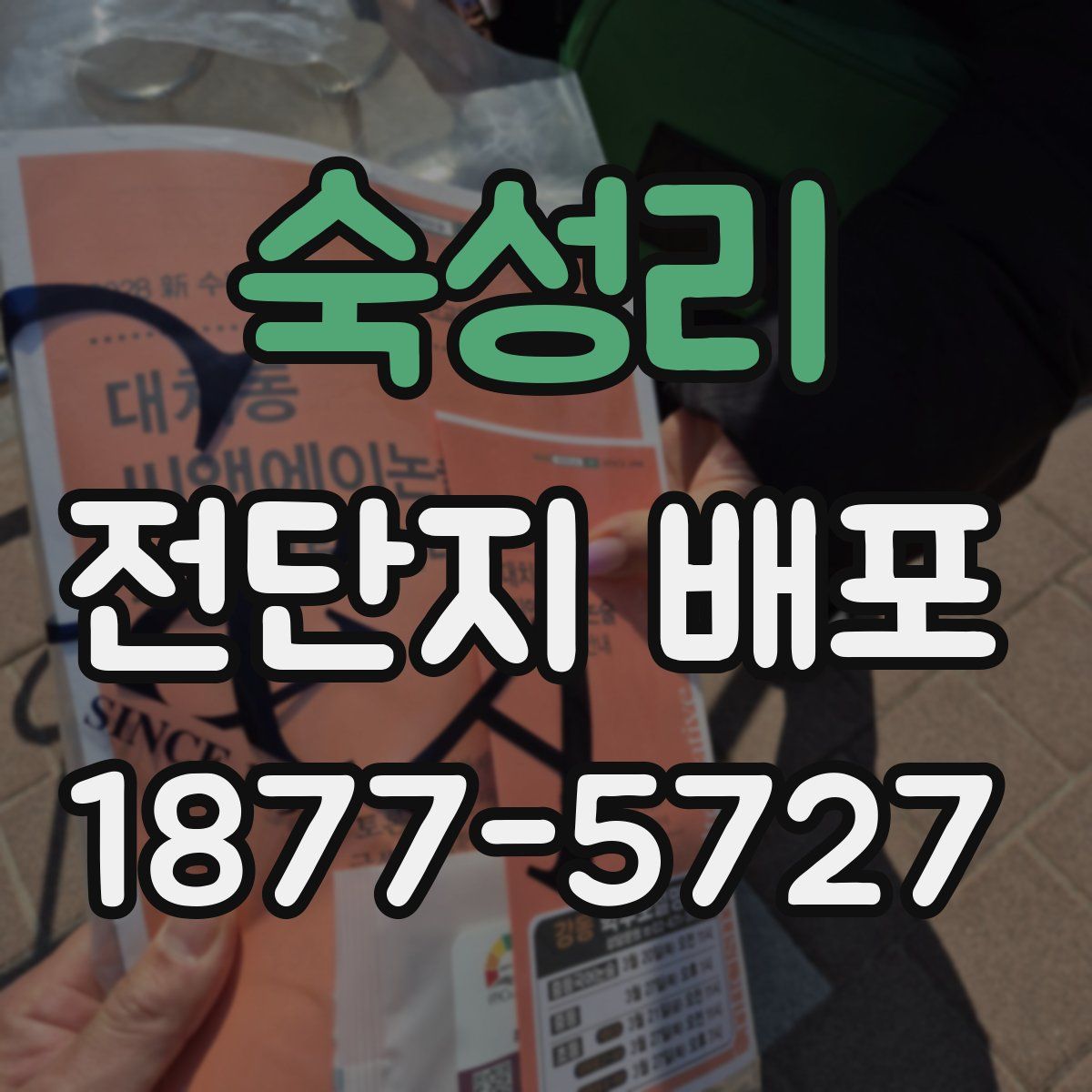 숙성리 전단지 배포