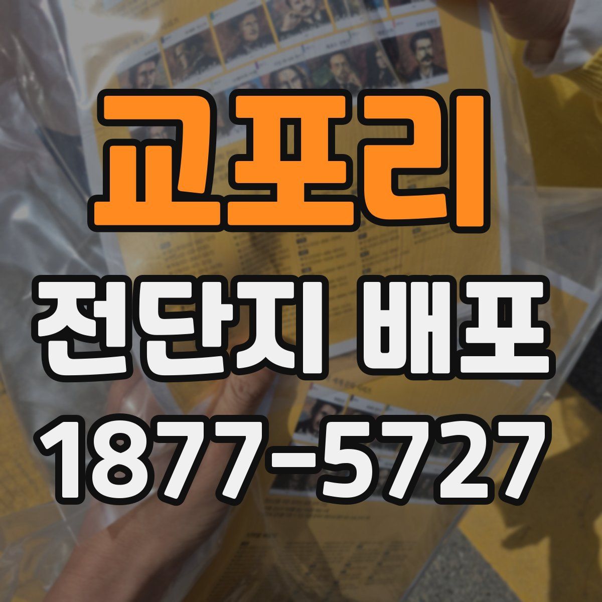 교포리 전단지 배포