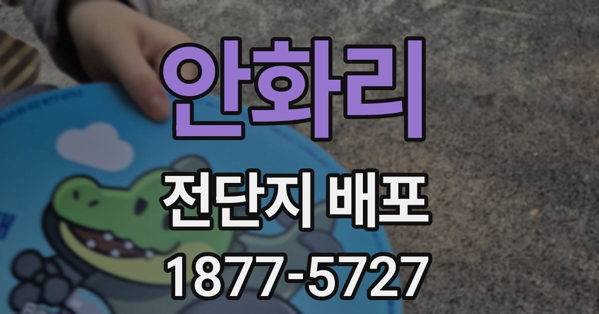 안화리 전단지 배포