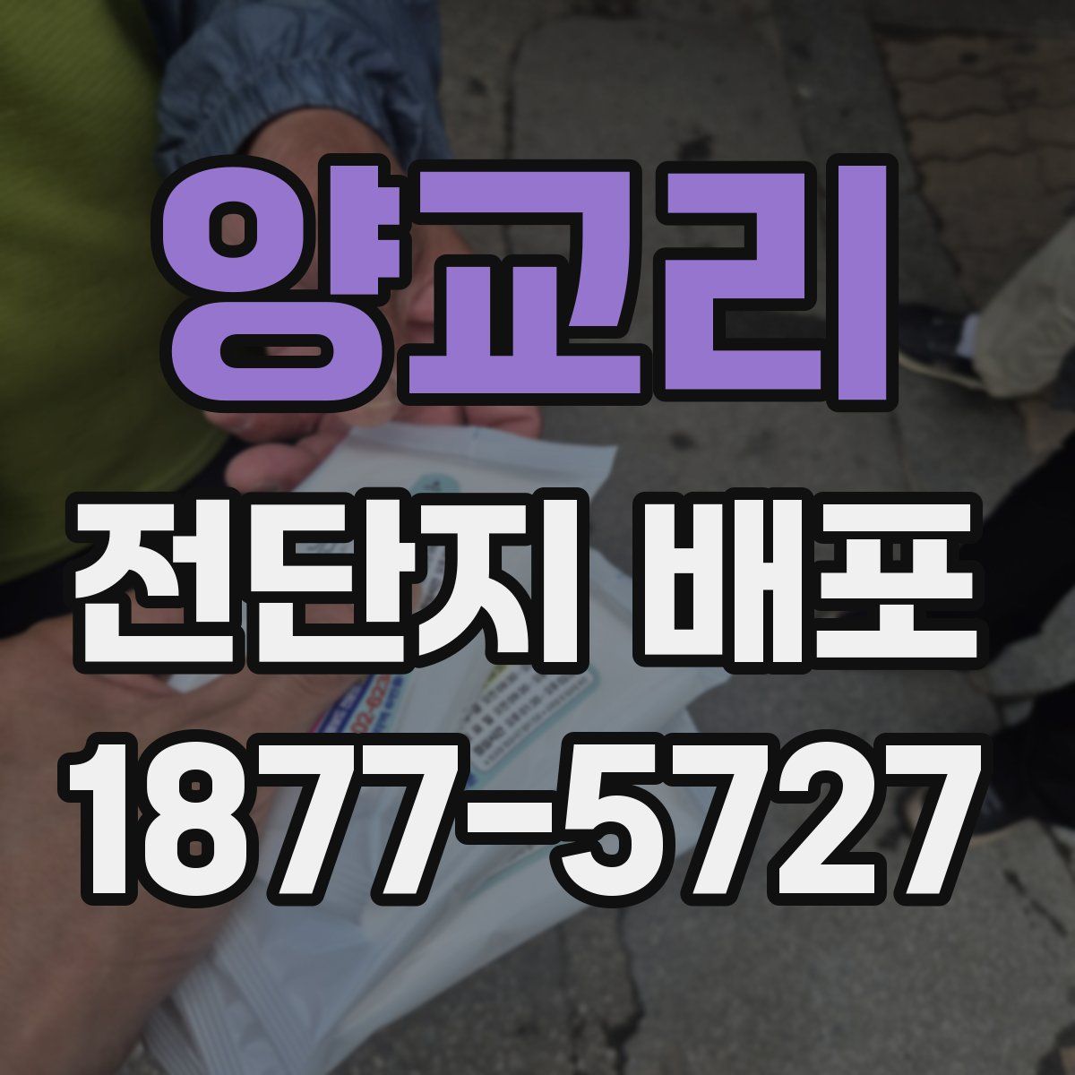 양교리 전단지 배포