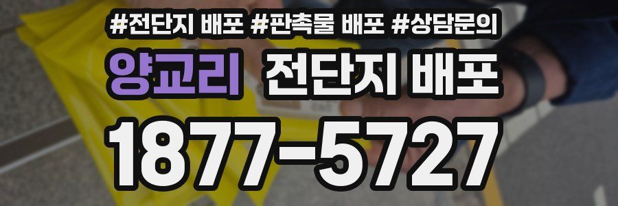 양교리 전단지 배포