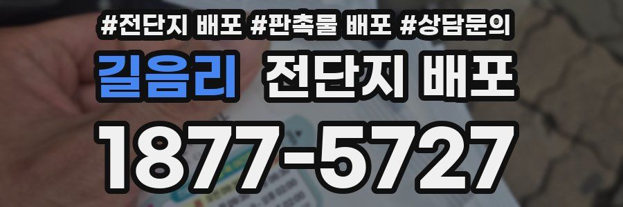 길음리 전단지 배포