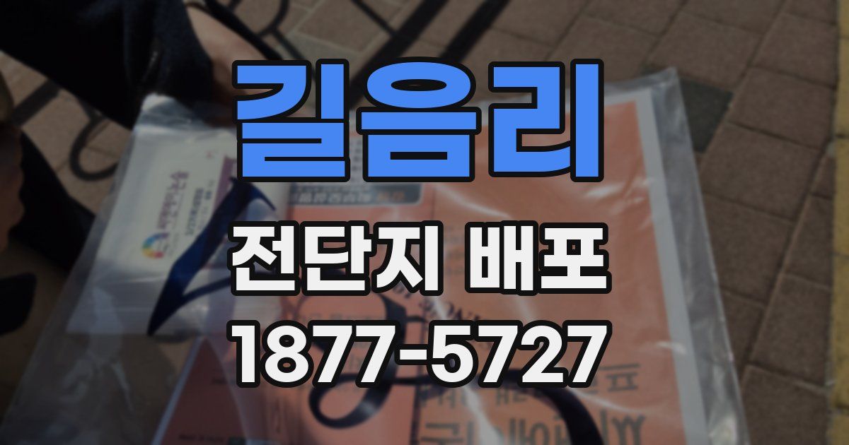 길음리 전단지 배포