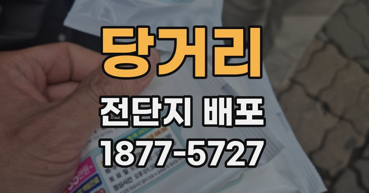 당거리 전단지 배포