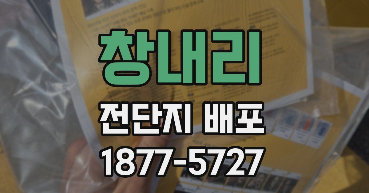 창내리 전단지 배포