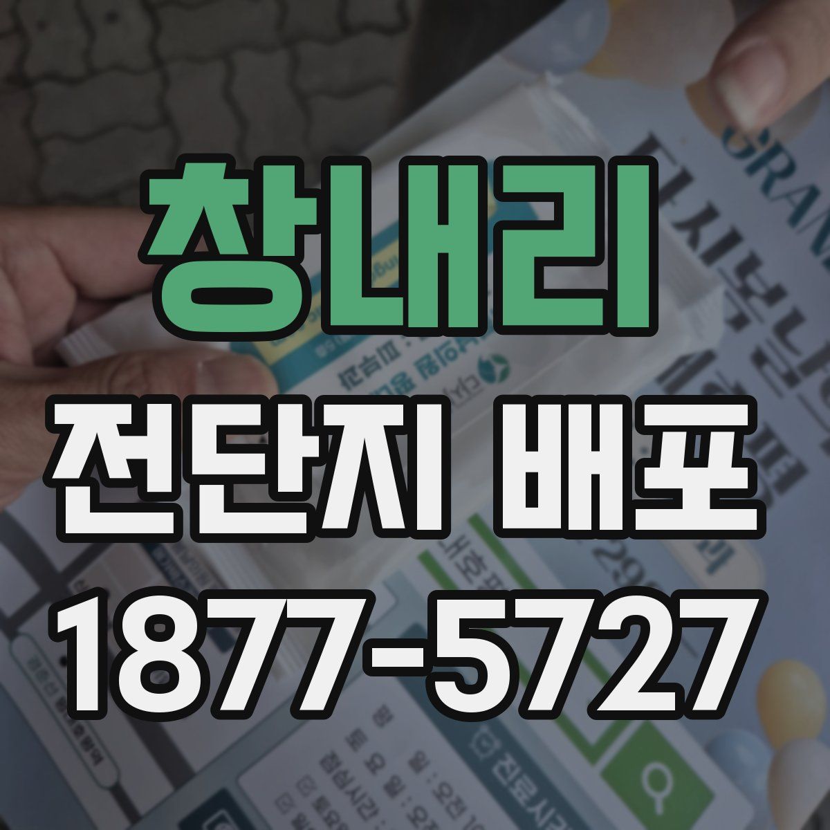 창내리 전단지 배포
