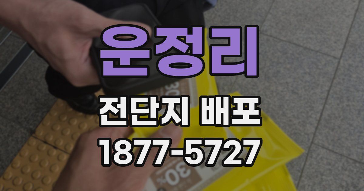 운정리 전단지 배포