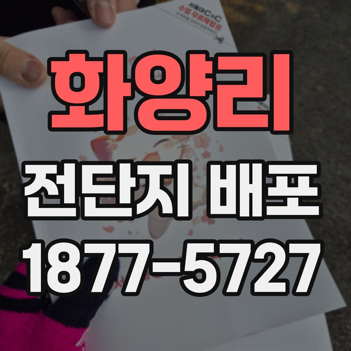 화양리 전단지 배포