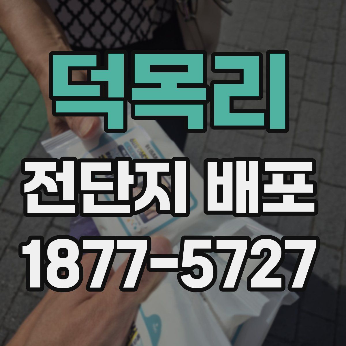 덕목리 전단지 배포