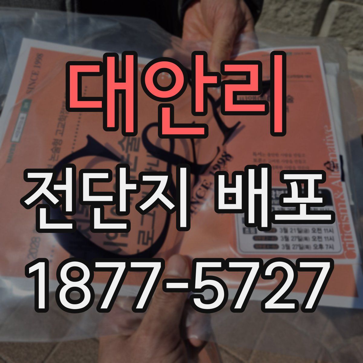 대안리 전단지 배포