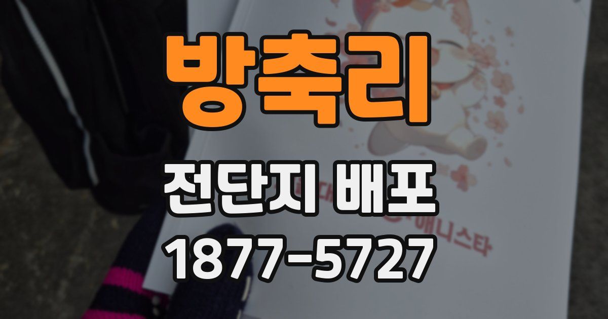 방축리 전단지 배포