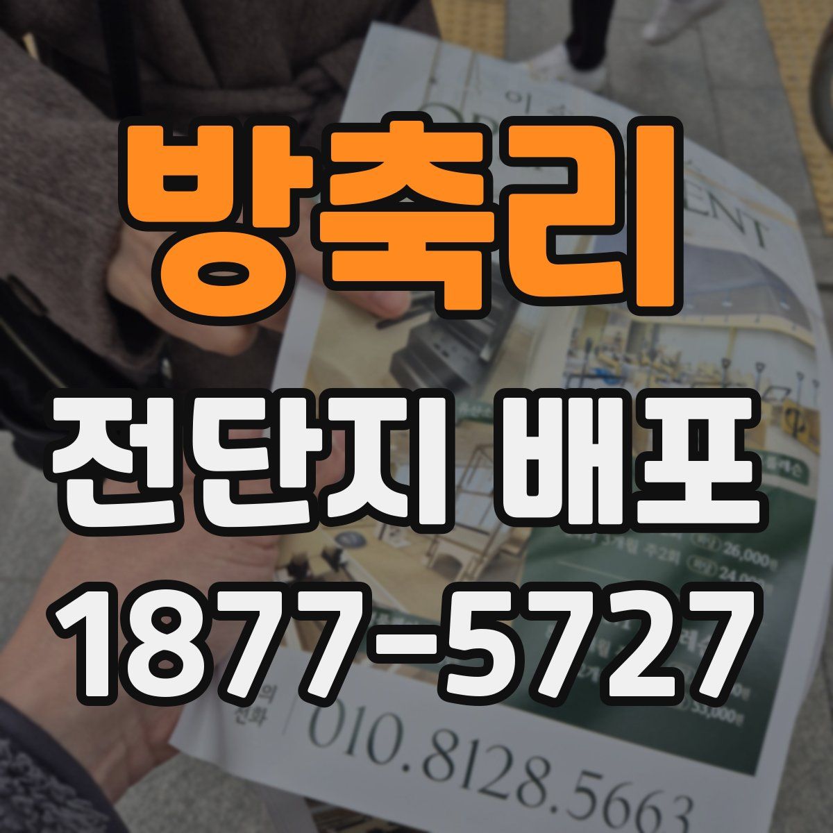 방축리 전단지 배포