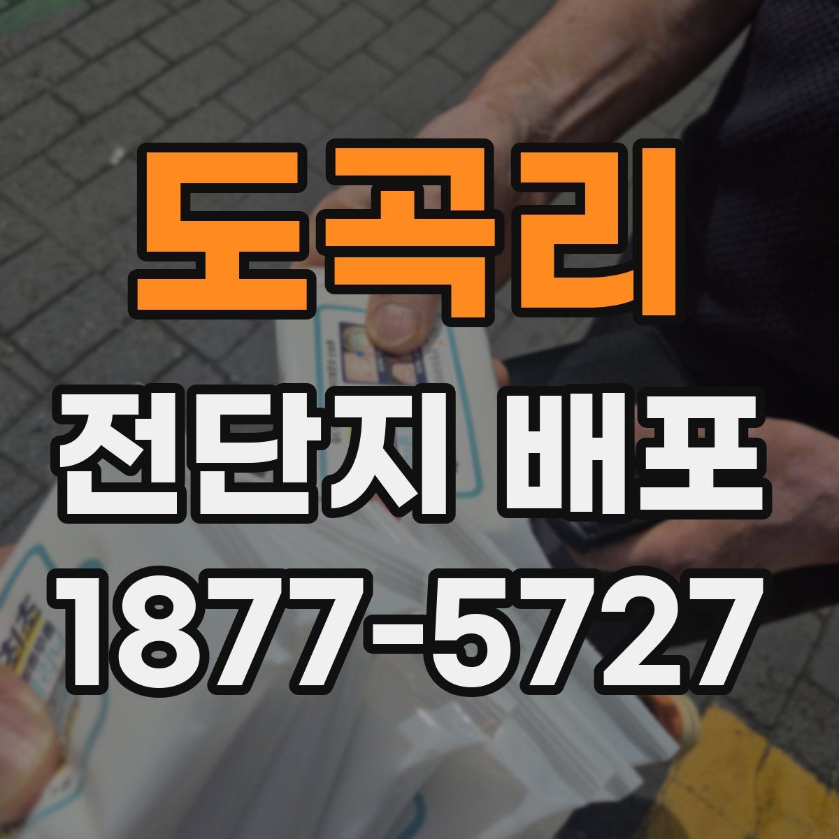 도곡리 전단지 배포