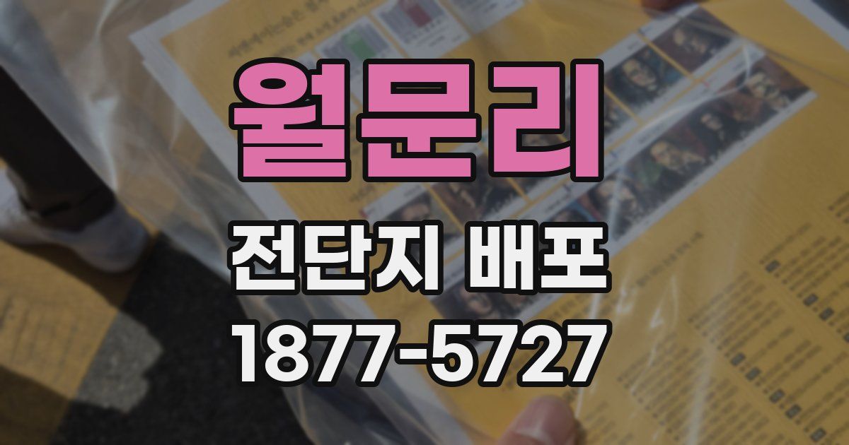 월문리 전단지 배포