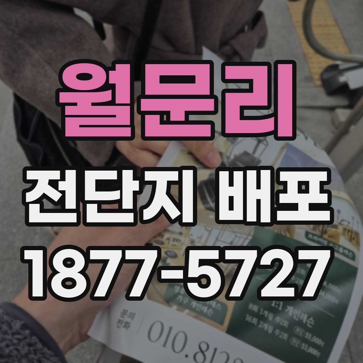 월문리 전단지 배포