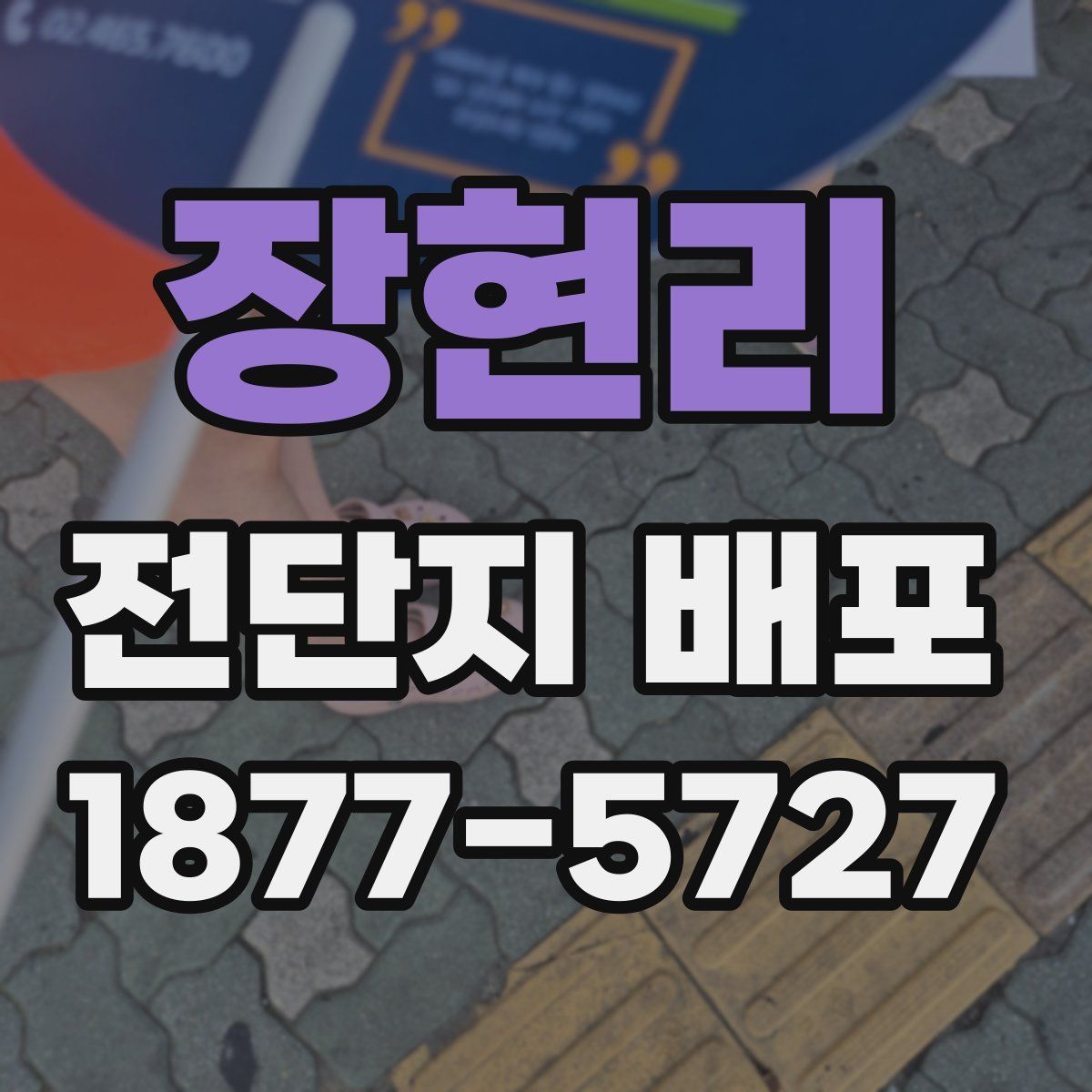 장현리 전단지 배포