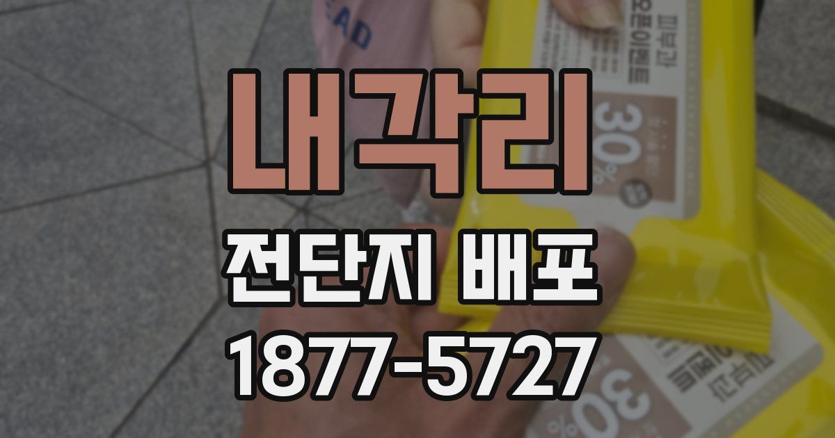 내각리 전단지 배포
