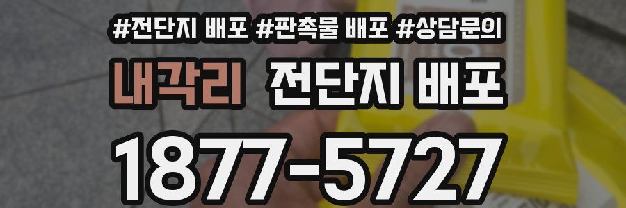 내각리 전단지 배포