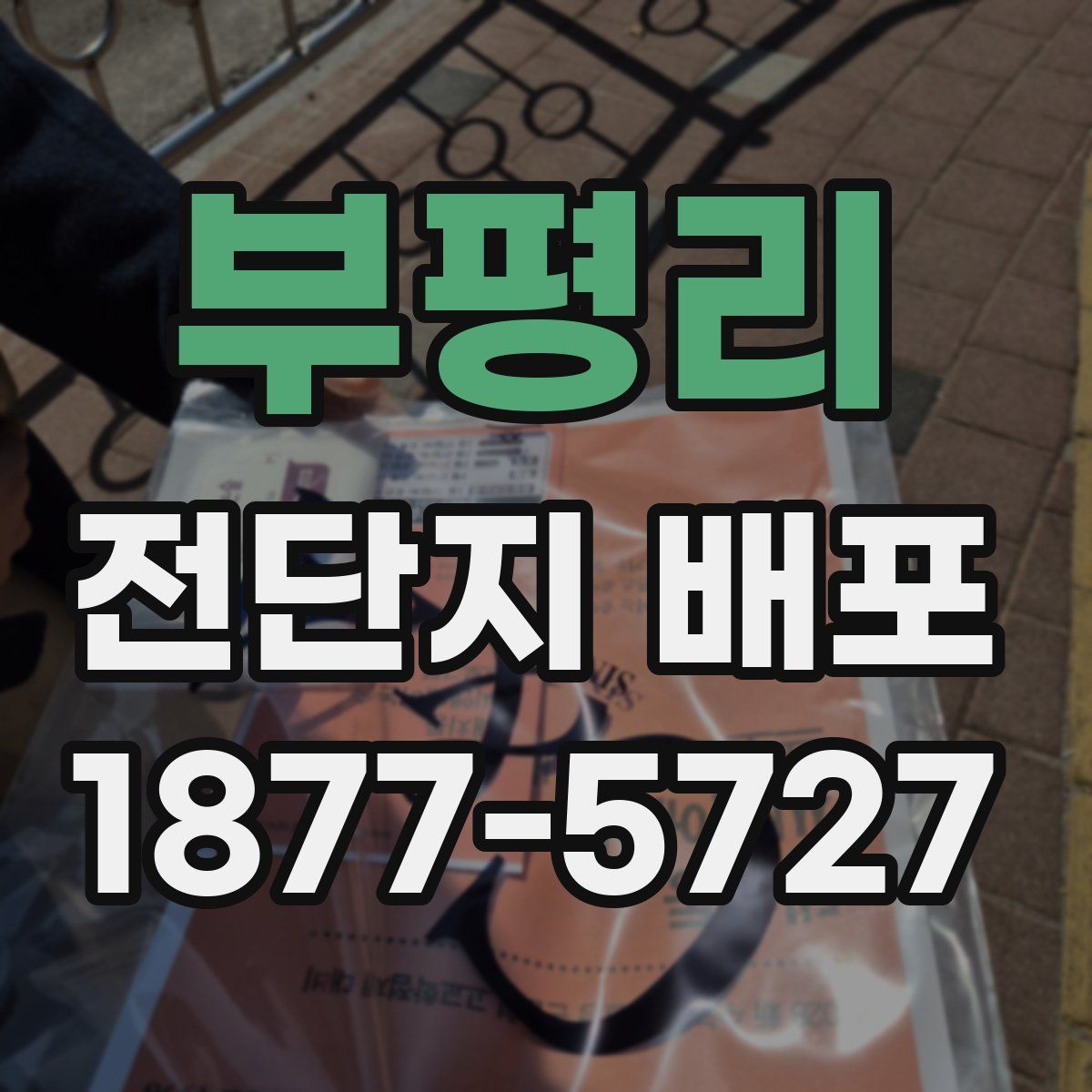 부평리 전단지 배포