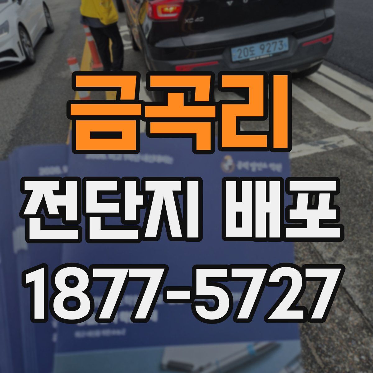금곡리 전단지 배포