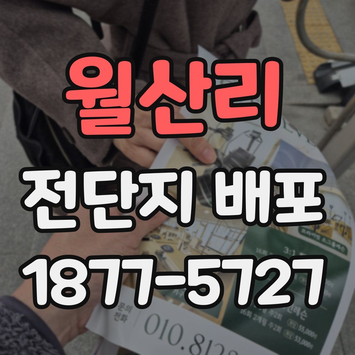 월산리 전단지 배포