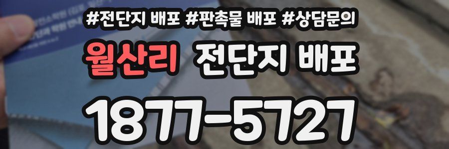 월산리 전단지 배포
