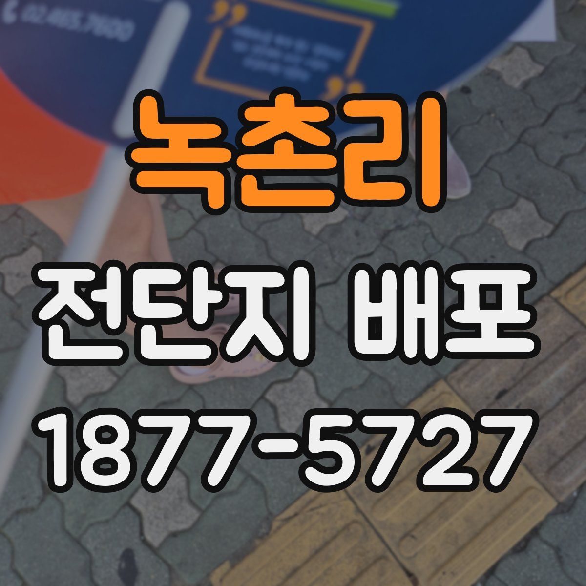 녹촌리 전단지 배포
