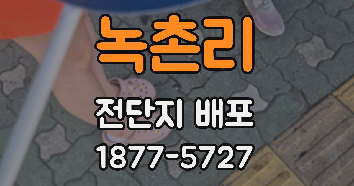 녹촌리 전단지 배포