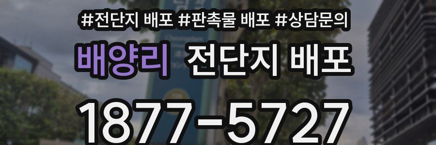 배양리 전단지 배포