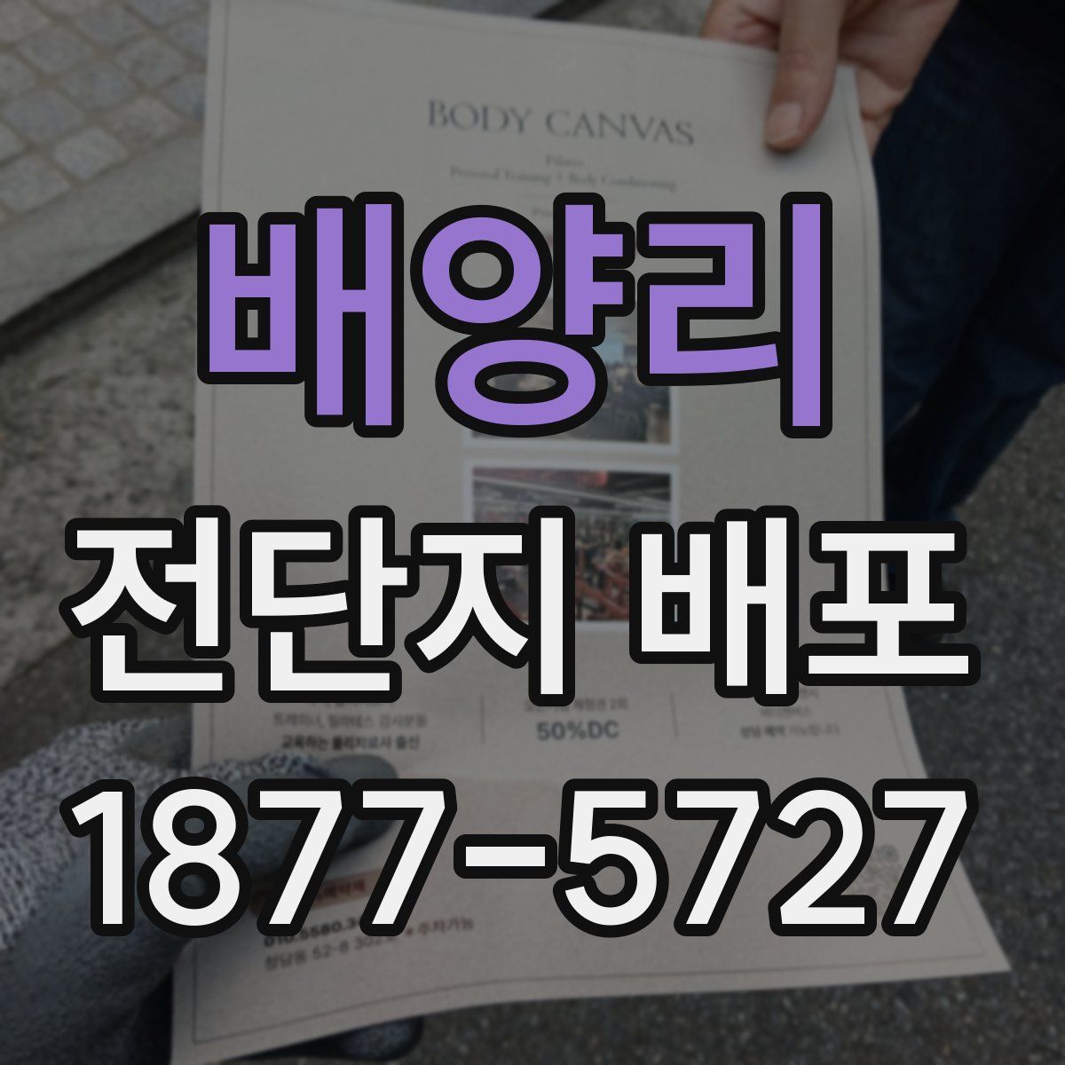 배양리 전단지 배포