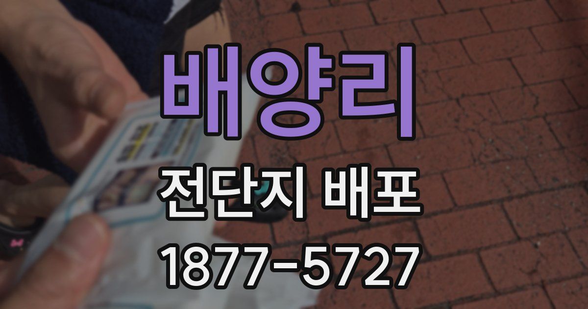 배양리 전단지 배포