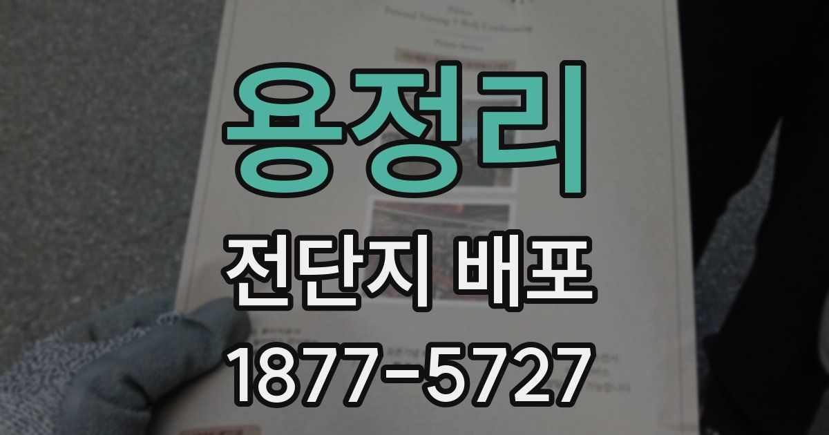 용정리 전단지 배포
