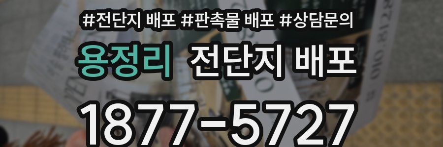 용정리 전단지 배포