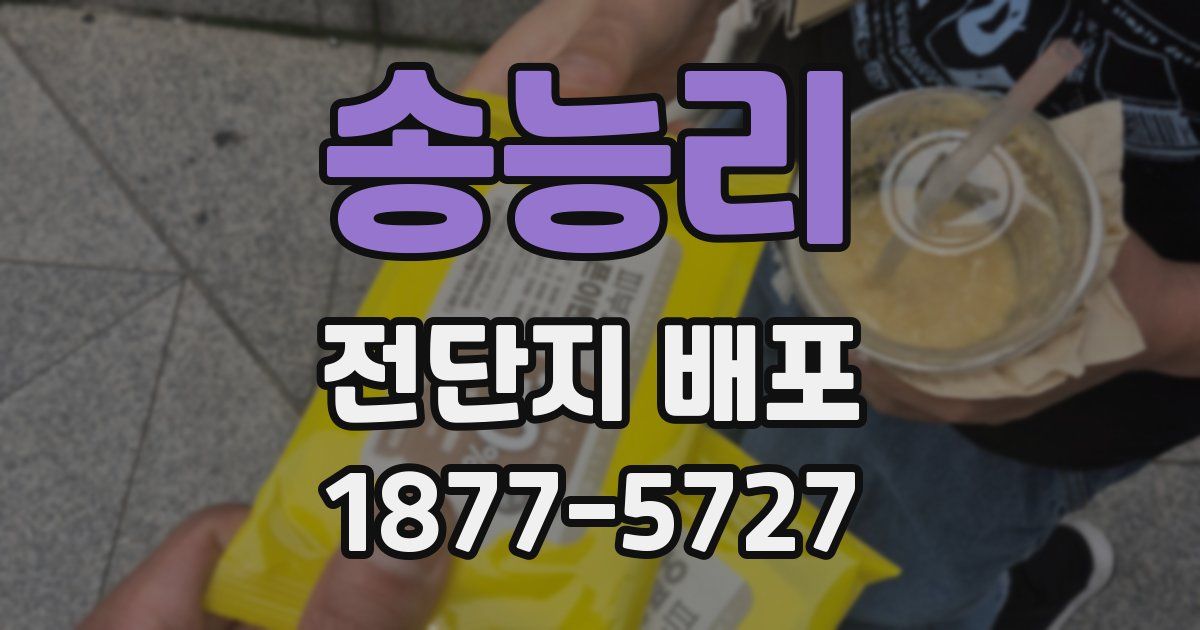 송능리 전단지 배포