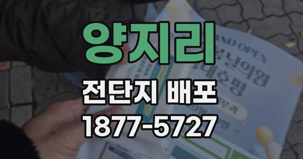 양지리 전단지 배포