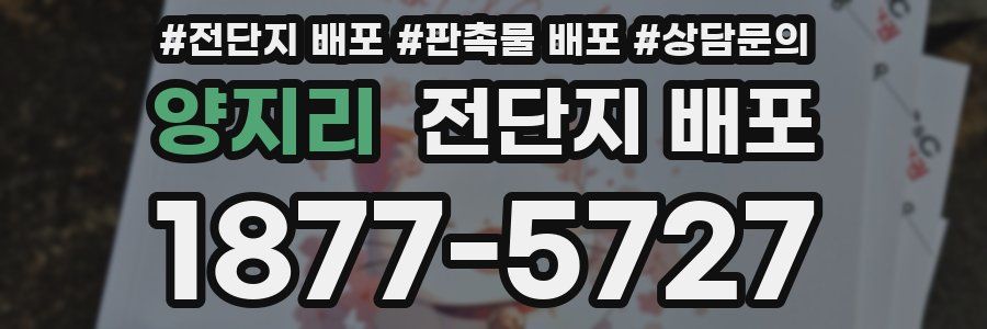 양지리 전단지 배포