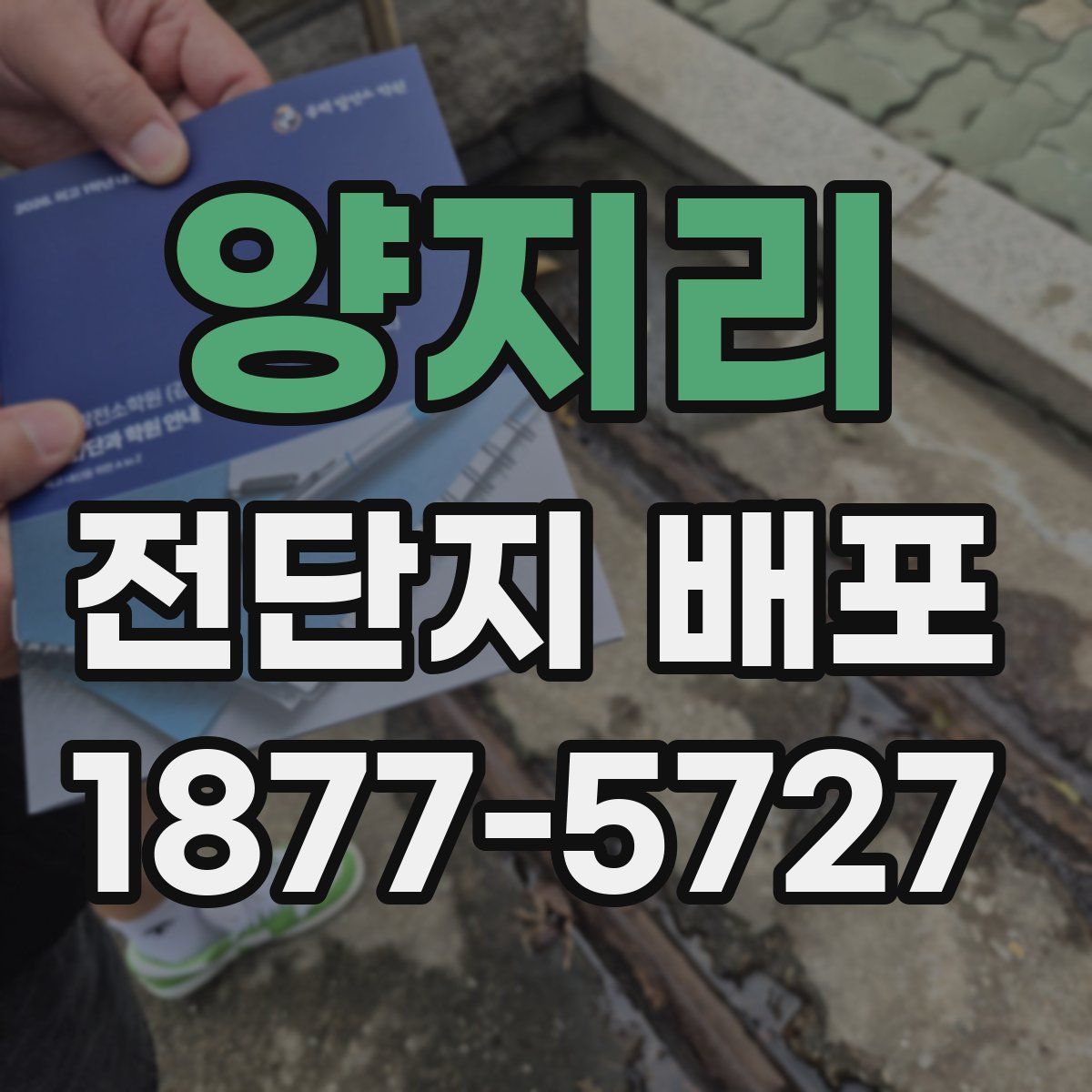 양지리 전단지 배포