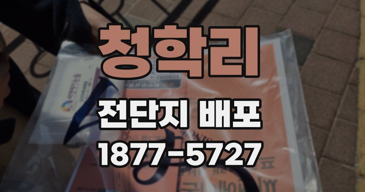 청학리 전단지 배포