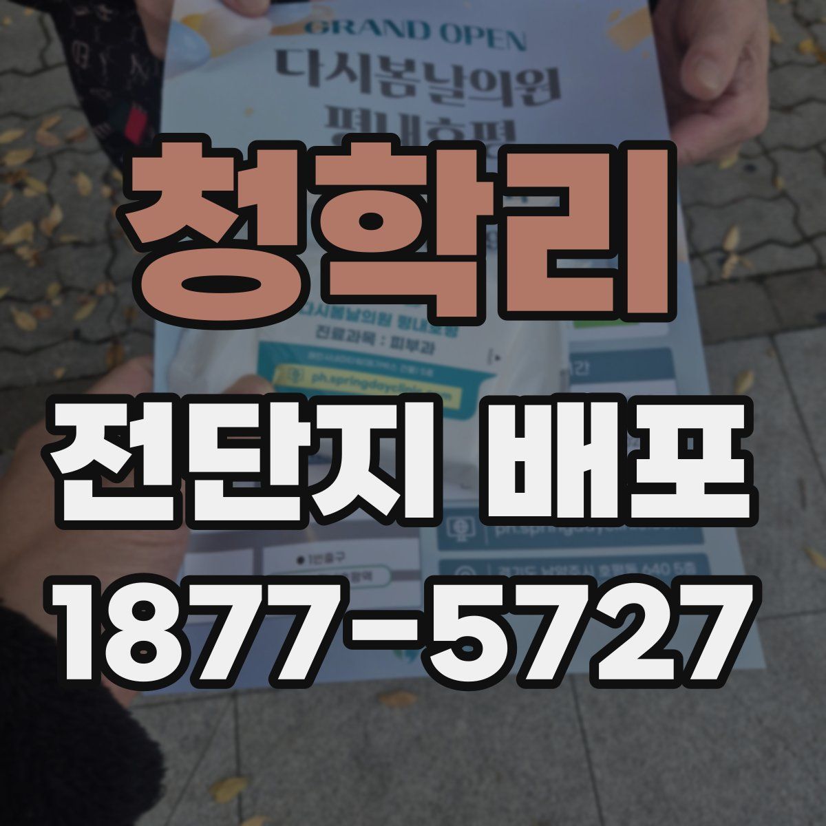 청학리 전단지 배포