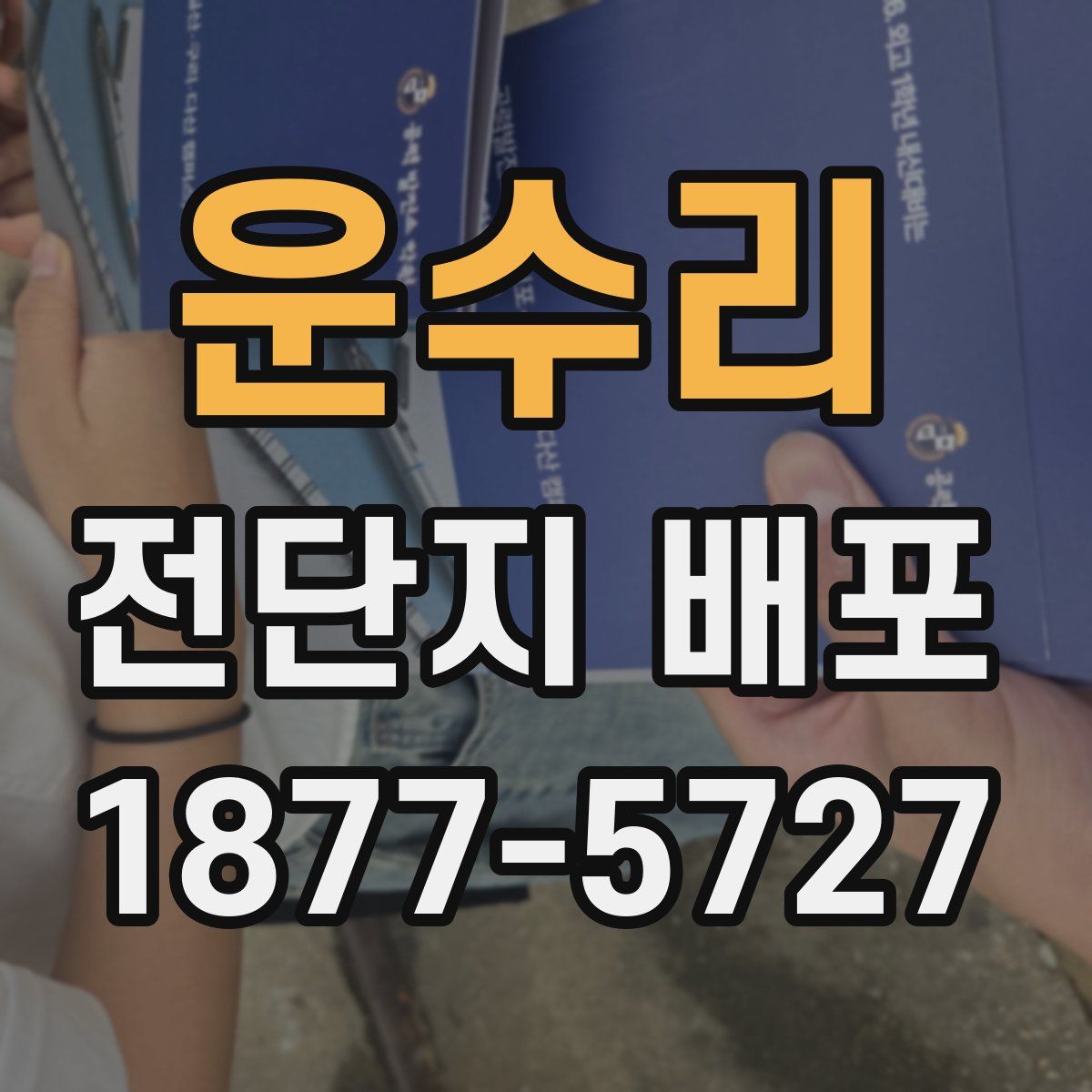 운수리 전단지 배포