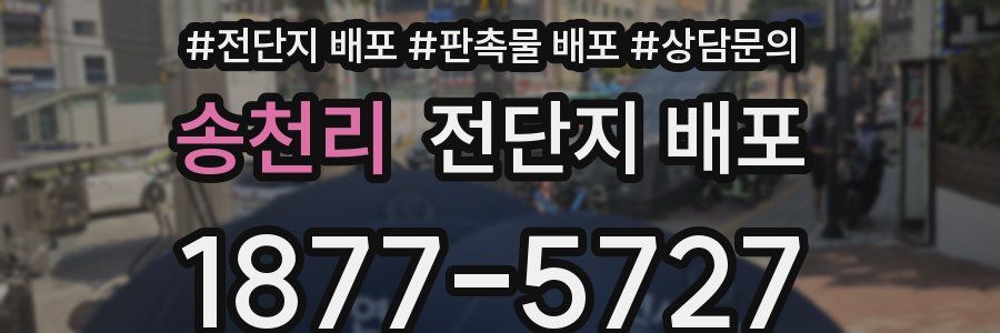 송천리 전단지 배포