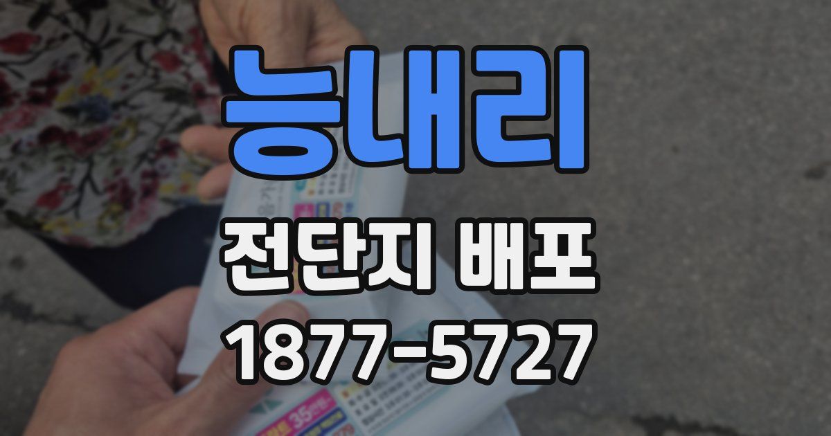 능내리 전단지 배포