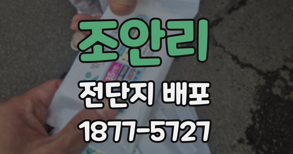 조안리 전단지 배포