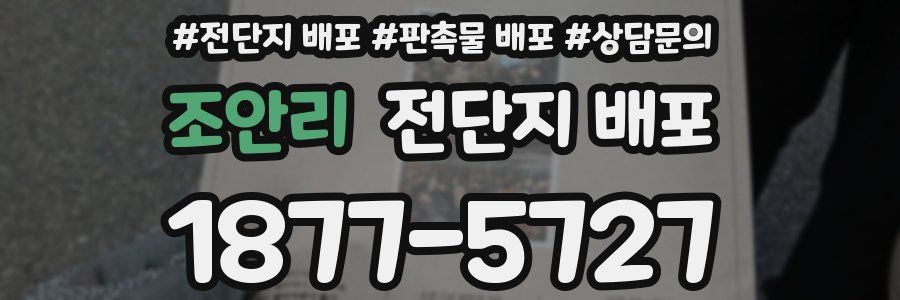 조안리 전단지 배포
