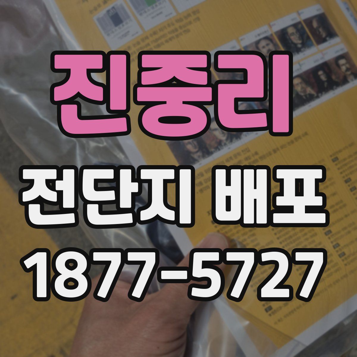 진중리 전단지 배포